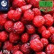 ɥ饤٥꡼ 120g ϥȥӥ٥꡼