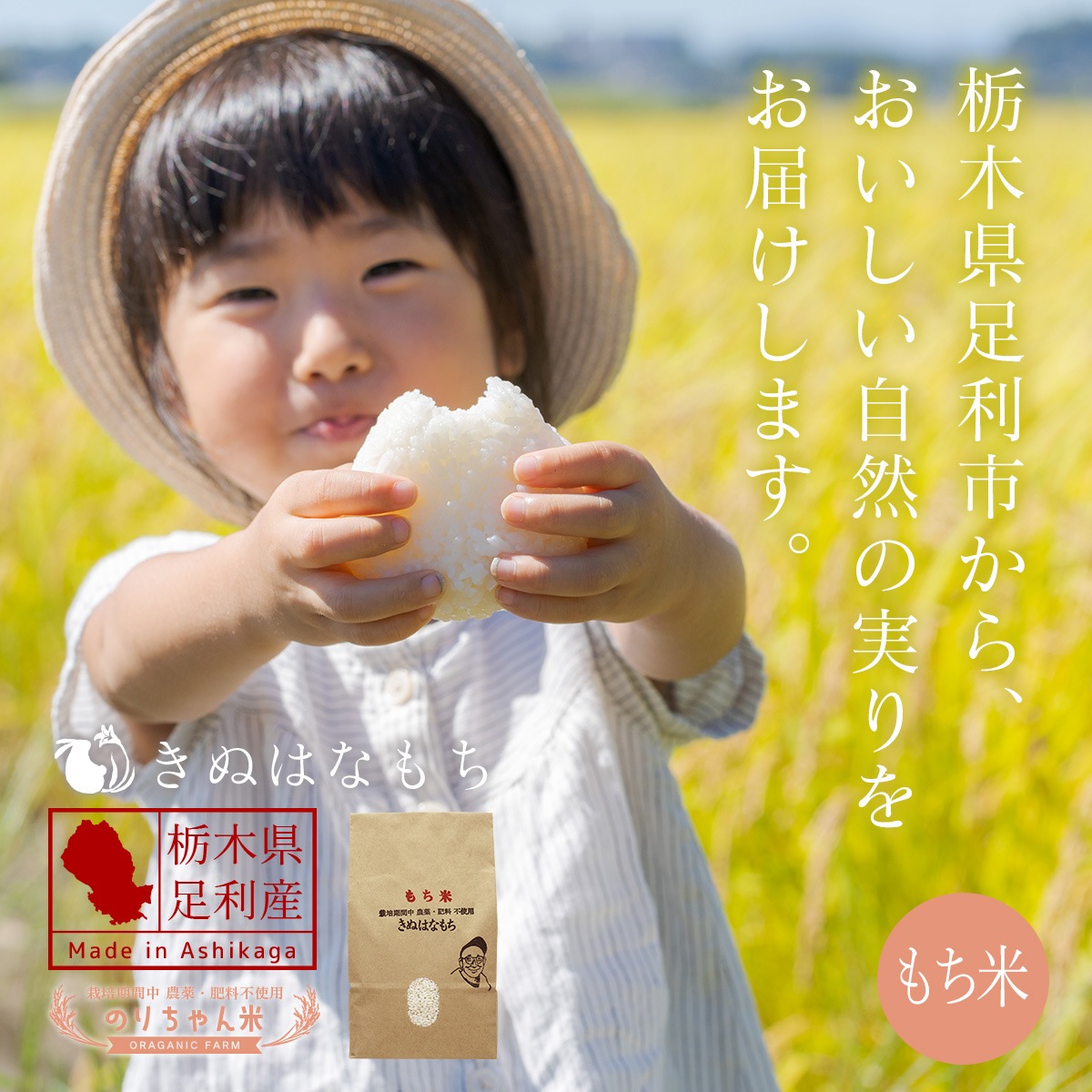 ��­�����ۤΤ������� ����� (���̤Ϥʤ��) 1kg ����7ǯ�� ����ݴ����� �����������Ի��ѡ�