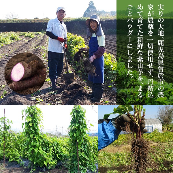 äȤޤ뤴  绳   绳ѥ  100g