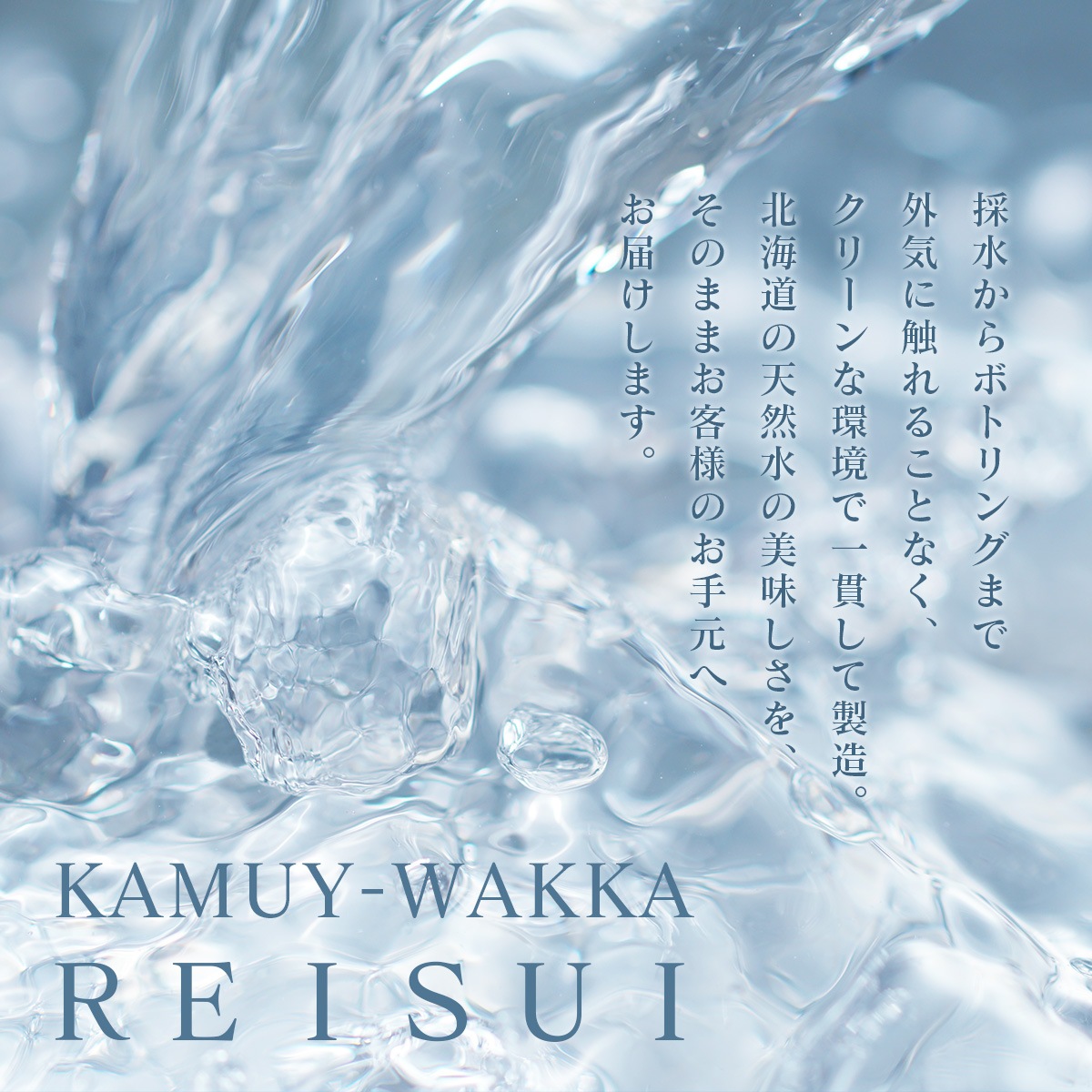 �̳�ƻ 10ǯ ��¸�� �����।��å�������500ml��48�ܡ�2��������