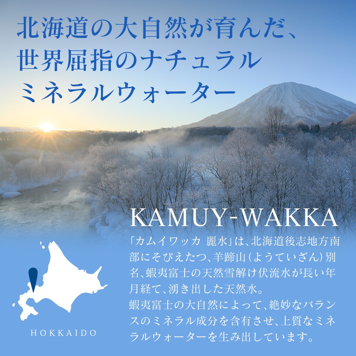 �̳�ƻ 15ǯ ��¸�� �����।��å������� 2L��12�ܡ�2��������