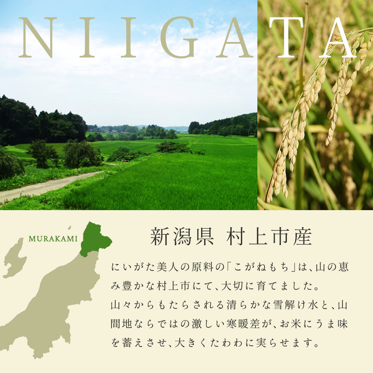 �ڤ��ߥ��եȡ۵ϤĤ��ߡ֤ˤ��������͡�D���å� 3��6�ޥ��եȡ������б���