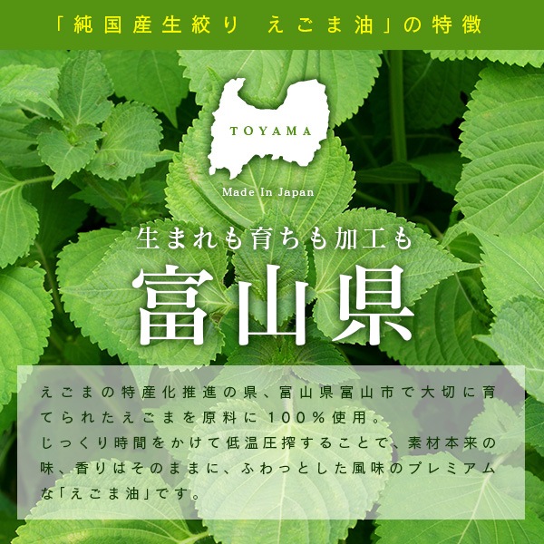 �� �������� �ץ�ߥ��� 110g ��2�ĥ��å�