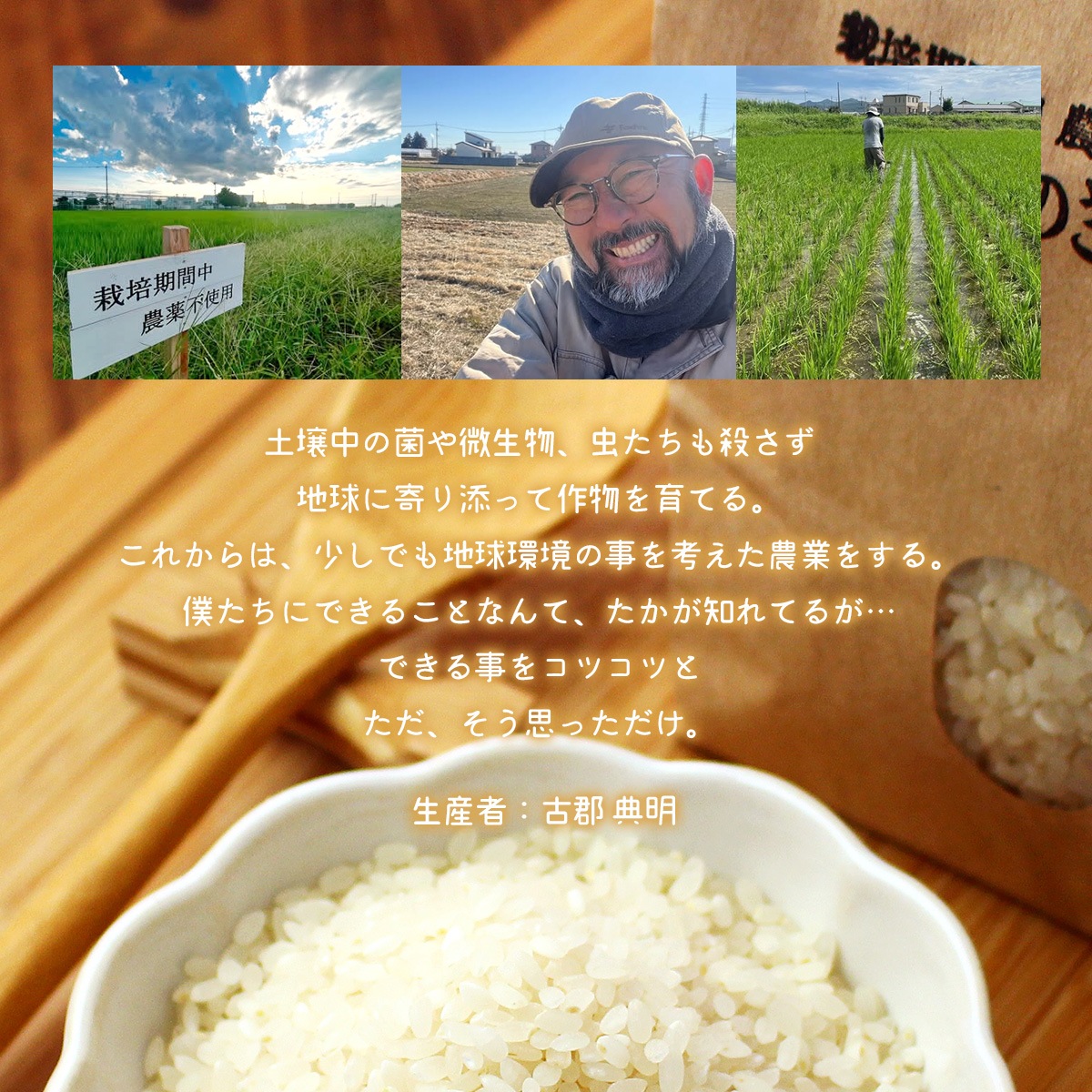 ­ۤΤ  (ˤΤ᤭) 5kg 6ǯ ݴ Իѡ