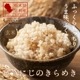 ­ۤΤ  (ˤΤ᤭) 2kg 6ǯ ݴ Իѡ