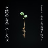 玉緑茶 / 八十八夜摘み(在来種) / 西坂秀徳製茶 / ◎レターパック