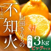 10箱 限定 山田さんちの ハウス 不知火 ビッグ 9玉( 約 3kg )  柑橘の王様 長崎 ・ 東彼杵産 / ●送料無料
