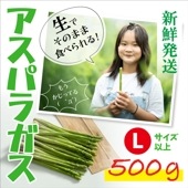 ※予約商品【あま旨!】朝採れ 産直 夏アスパラガス 長崎・東彼杵産 500g (Lサイズ以上) 根っこまで甘くてジューシー【専用カッター付】クール便（冷蔵） / 6月上旬頃より順次発送