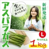 【あま旨!】朝採れ 産直 夏アスパラガス 長崎・東彼杵産 1kg (Lサイズ以上) 根っこまで甘くてジューシー【専用カッター付】クール便（冷蔵）