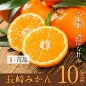 山田みかん農園 【予約商品/12月末～1月上旬頃より順次発送】長崎・東彼杵で愛される 山田さんちの最高級  ジューシー甘い 温州みかん 10kg (品種：青島) / ●送料無料