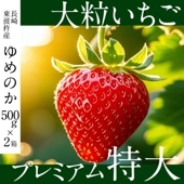 【20セット限定】夢が叶う！農家直送 長崎・東彼杵産 プレミアム 大粒いちご ゆめのか 500g入×2箱 / クール便 / 送料無料