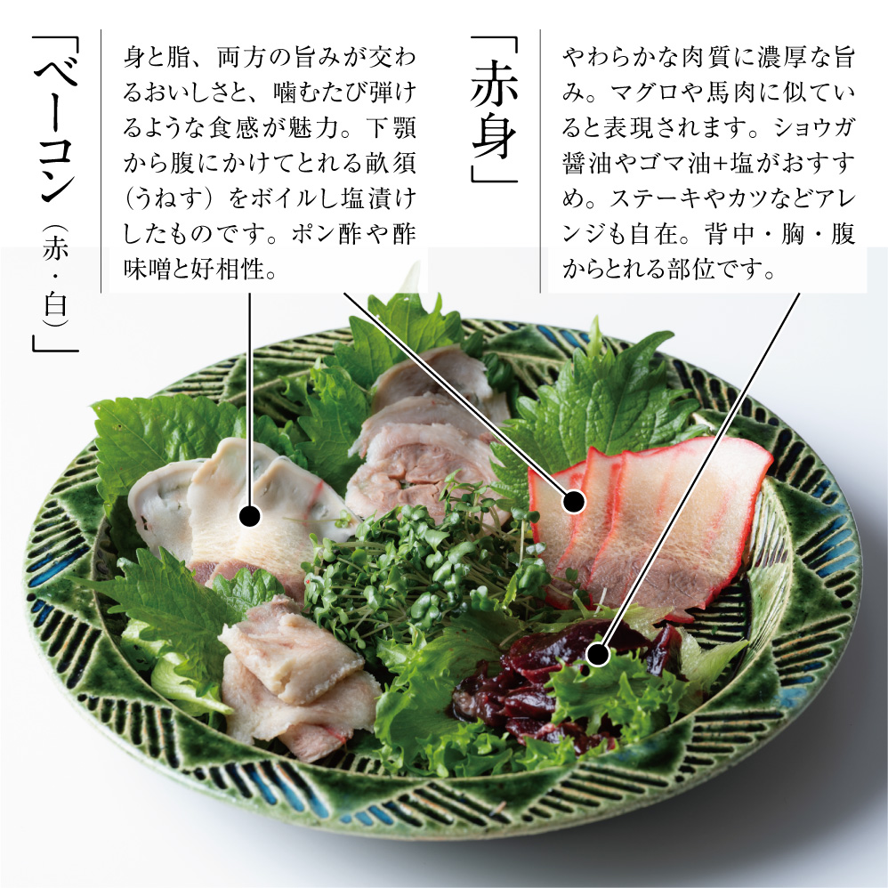 ねぎ様専用ページ