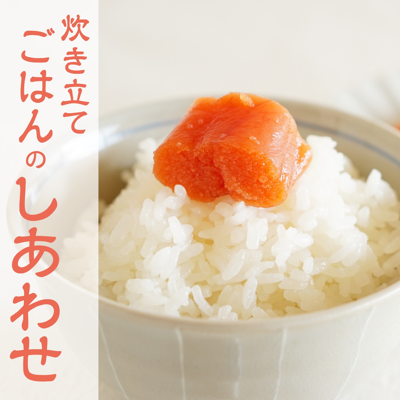 ■コシヒカリ 新米 白米 ２０キロ 岡山県  無農薬 棚田  おまけ付  ■ □コシヒカリ 新米 白米 20キロ 岡山県 無農薬 棚田 おまけ付