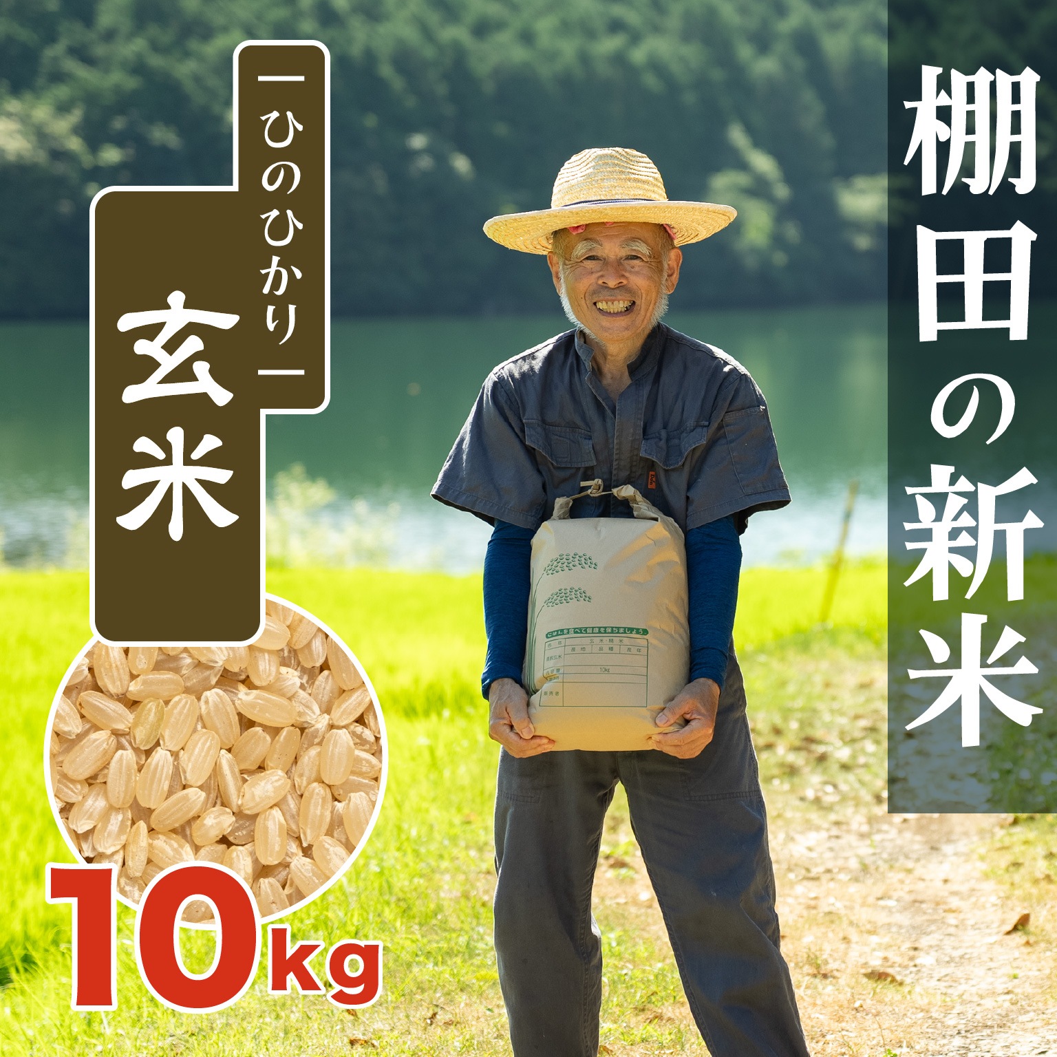 3月17日 発送 ✨️ひのひかり✨️ 10㌔(箱全込) 米・穀類の産直通販・お取り寄せ商品｜ポケットマルシェ｜産地