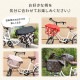 쥮顼̵ϥ֥饦ߥޥХåȥС/ڡԥ | ž С ɿ С žС ХåȥС  ե С 쥤󥫥С ž֤С ž֥С  å