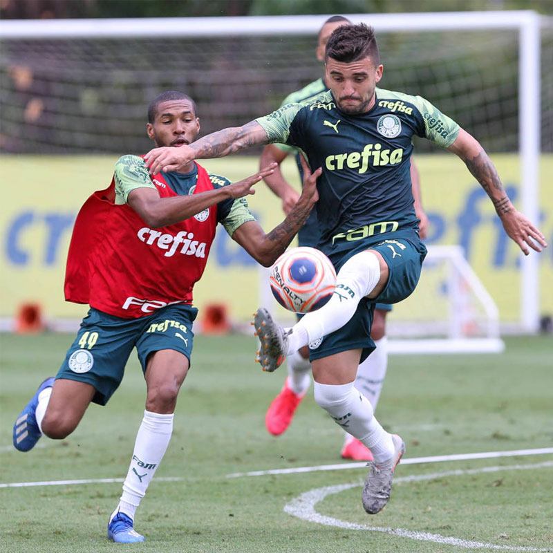Puma パルメイラス サッカーシャツ パルメイラス スポンサー入り公式練習着 トレーニングシャツ