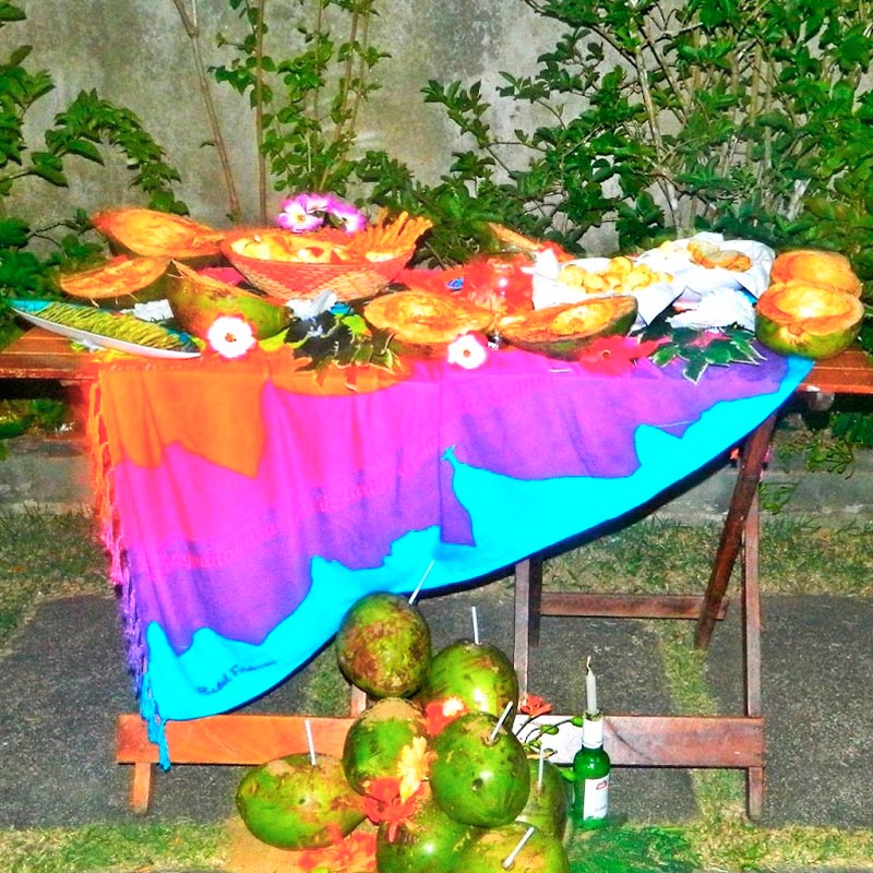 ブラジル国旗柄バンデイラ【ブラジルカンガ】パレオ｜すべての商品の