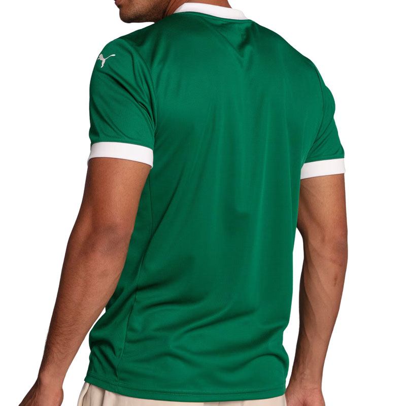 PUMA - パルメイラス 緑 □取り寄せ商品□パルメイラス 25/26 リベルタドーレスパッチ付