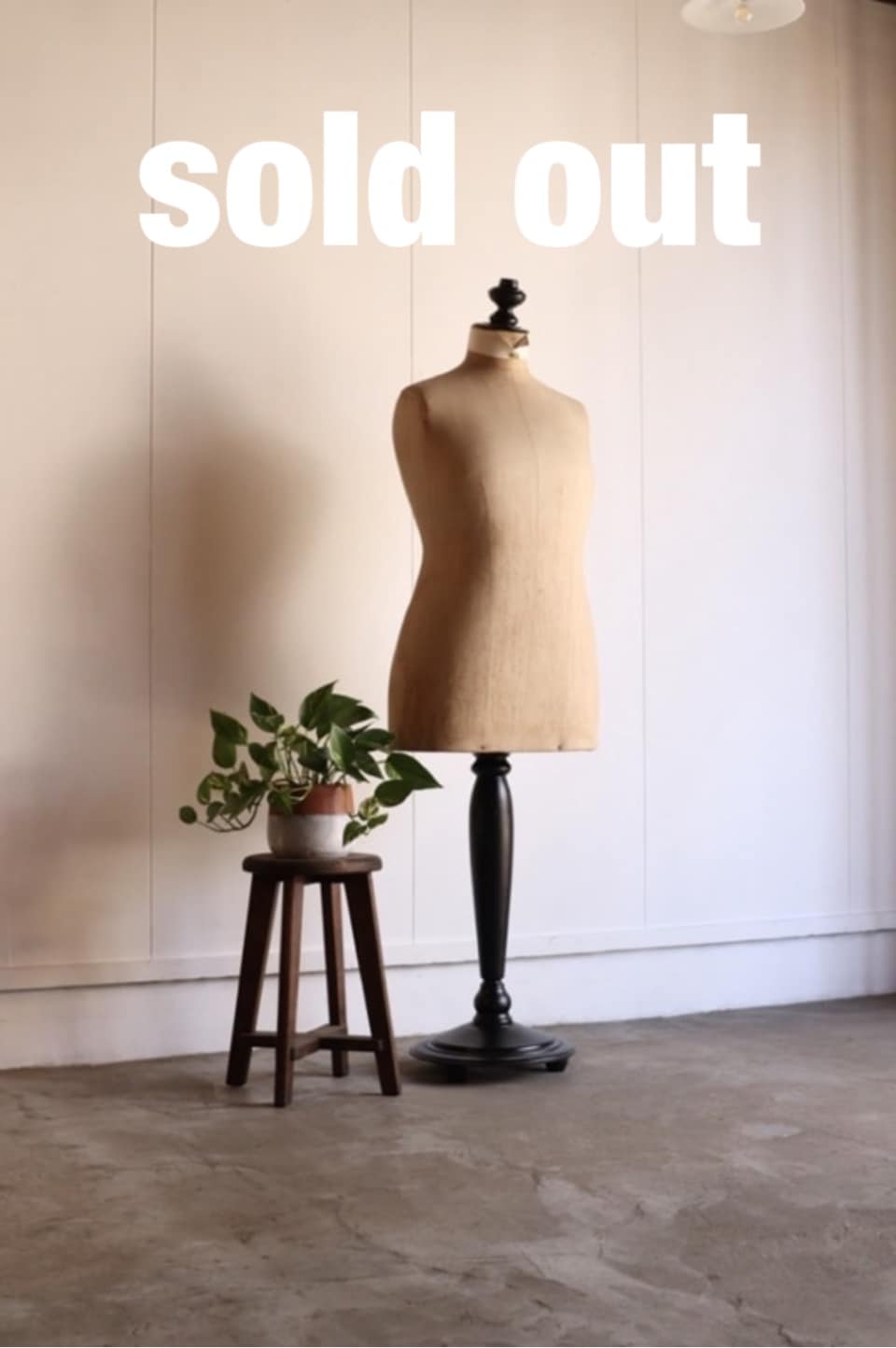 トルソー