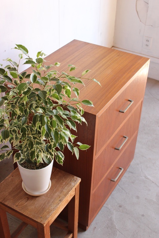 チークの引出し