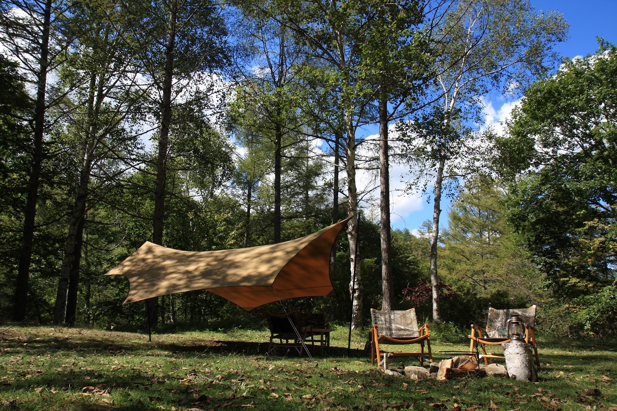 cotton KOKAGE wing�� ��Narrow�ɡ�������Sand Color