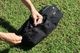 Easy Wash Peg Bag��