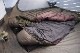SLEEPING BAG��Regular��450��<br>Layer connect sleeping system