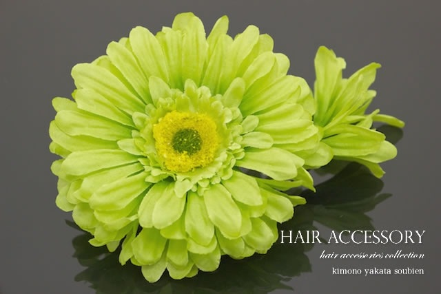 髪飾り　花　フラワー　ガーベラ　黄緑　ブラ　コサージュ　帯飾り　夏　ゆかた　髪留め　髪かざり　ヘアアクセサリー
