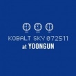 ��󥴥� / ��KOBALT SKY 072511 at YOONGUN��(mini album)