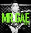 GARY(����:Leessang) / MINI 1ST��MR.GAE��(2014)