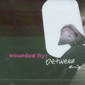 Wounded Fly /��between��