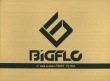 BIGFLO / 1st MINI ALBUM��FIRST FLOW��