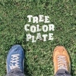 EVERY SINGLEDAY,ѥҥ, / TREE-COLOR PLATE