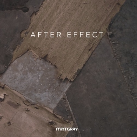 MINTGRAY / ��AFTER EFFECT��(Single)