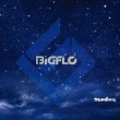 BIGFLO / ��STARDOM��(mini 4th 2017)