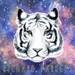 RICHARD PARKERS / FANTASY (2nd EP)