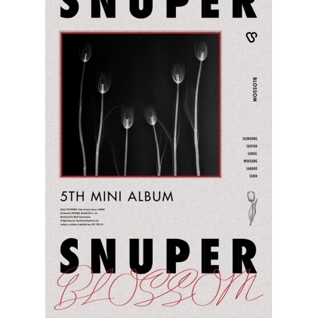 SNUPER /  ��BLOSSOM�� (5th mini 2018)