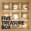 [���ݥ�������] FTISLAND / ��FIVE TREASURE BOX��