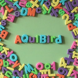 AQUIBIRD / �غ���ʬ�����