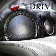 桦 / DRIVE (mini 2013)