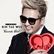 KIM TAE WOO (���ࡦ�ƥ�) / ��T-LOVE ��(mini 2013)