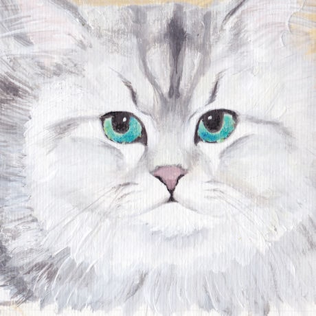 �����������of The Koxx) / ��Ƹ��������(mini 2013��