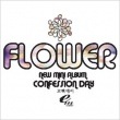 FLOWER / NEW MINI ALBUM『CONFESSION DAY』告白DAY|新譜　