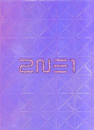 2NE1 THE FIRST ALBUM TO ANYONE 韓国盤CD 51HLmrEVgSL._UF350,350_QL50_.jpg
