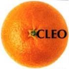 CLEO / 1����CLEO 1th album��