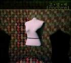 cocore / �ظ��պޡ�