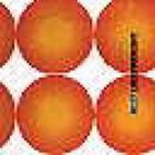 DEUX / ��DEUX BEST��