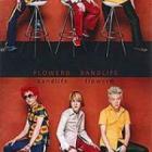 FLOWER / ��3 / bandlife��