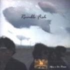 Rumble Fish / Have a Nice Dream2