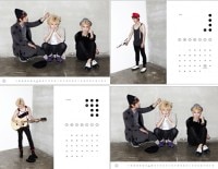 SHINee / 2012 Official Calendar [壁掛けタイプ]　*ラスト1セット|歌手　
